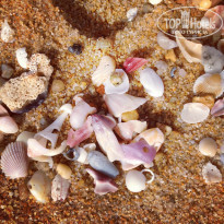 фото из отзыва ID 952695