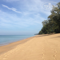 фото из отзыва ID 952695