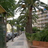 фото из отзыва ID 952931