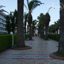 фото из отзыва ID 952257