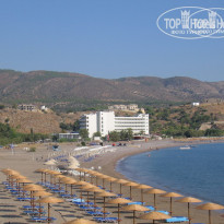 фото из отзыва ID 95358