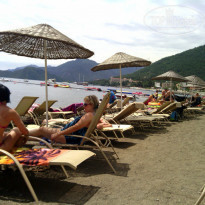 фото из отзыва ID 953003