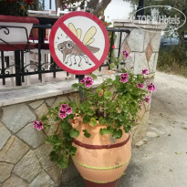 фото из отзыва ID 953201