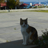 фото из отзыва ID 953222