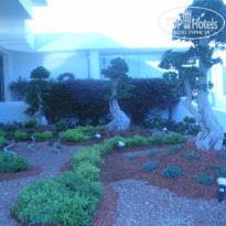 фото из отзыва ID 953658