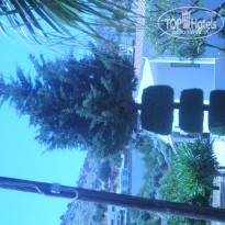 фото из отзыва ID 953658