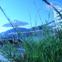 фото из отзыва ID 953658