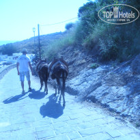 фото из отзыва ID 953658