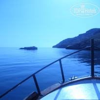 фото из отзыва ID 953658