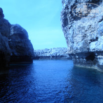 фото из отзыва ID 953658