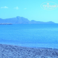 фото из отзыва ID 953658