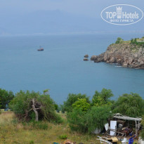 фото из отзыва ID 953750