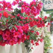 фото из отзыва ID 953113