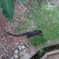 фото из отзыва ID 953881