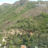 фото из отзыва ID 953804