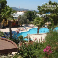 фото из отзыва ID 95421