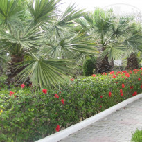 фото из отзыва ID 954192