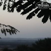 фото из отзыва ID 954490