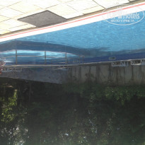 фото из отзыва ID 954498