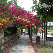 фото из отзыва ID 954502