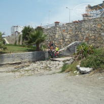 фото из отзыва ID 954502