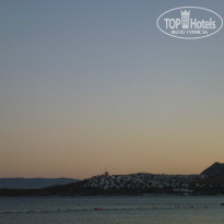 фото из отзыва ID 954558