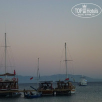 фото из отзыва ID 954558