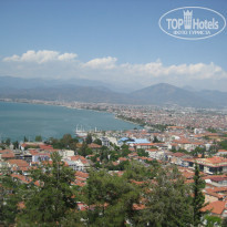 фото из отзыва ID 954654