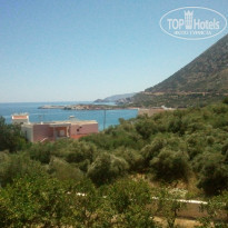 фото из отзыва ID 954765