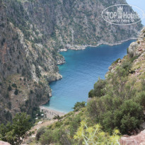 фото из отзыва ID 954566