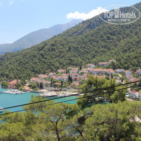 фото из отзыва ID 954566