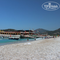 фото из отзыва ID 954566