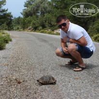 фото из отзыва ID 954566