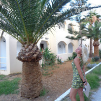 фото из отзыва ID 954802