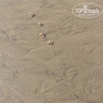 фото из отзыва ID 954939