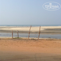 фото из отзыва ID 954939