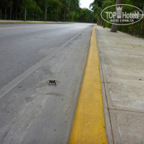 фото из отзыва ID 954774