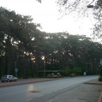 фото из отзыва ID 954426