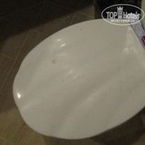 фото из отзыва ID 95567