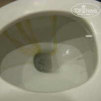 фото из отзыва ID 95567