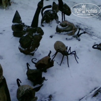 фото из отзыва ID 955176