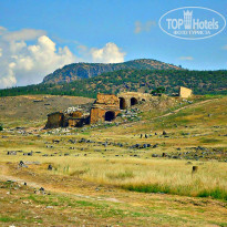 фото из отзыва ID 955172