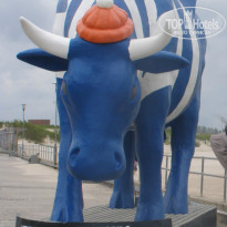 фото из отзыва ID 955199