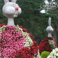 фото из отзыва ID 955199