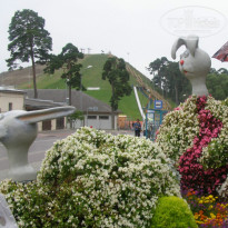 фото из отзыва ID 955199