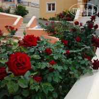 фото из отзыва ID 955240