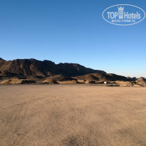 фото из отзыва ID 955300