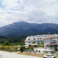 фото из отзыва ID 955608