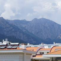 фото из отзыва ID 955608