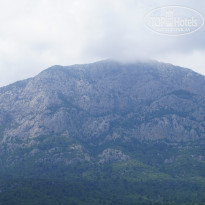 фото из отзыва ID 955608